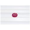 Image 1 : 1.45ct Oval Shape Ruby Dimension- 7.8x6x3.1