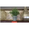Image 3 : Floating Wooden Shelf w/Brackets (3ft Long) w/Decorative Accent Pieces