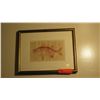 Image 1 : Framed Fish Print 12" x 15"