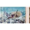 Image 2 : Framed Photo Print: Honu 17" x 21"