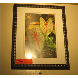 Framed Print: Tropical Botanical Leaves 15" x 12"