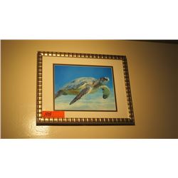 Framed Photo Print: Honu 12" x 15"