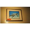 Image 1 : Framed Photo Print: Honu 12" x 15"