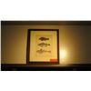 Image 1 : Framed Print: Fish 17" x 15"