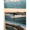 Image 3 : Framed Print - "Surf Riding at Waikiki, Honolulu" 16.5" x 9"