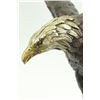Image 2 : Two Tone American Eagle Bronze Statue
