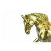 Image 2 : Gold Plexiglases Male Stallion Sculpture