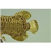 Image 6 : Gold Plexiglass Fish with Crystals Sculpture