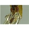 Image 6 : Gold Plexiglases Atlanta Falcon Bird Lover Statue
