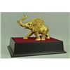 Image 3 : Gold Plexiglases African Elephant Sculpture