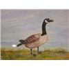 Image 2 : MEADE, FRANK (1977) CANADIAN GOOSE PAINTING