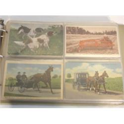 APPROX. 150 FARM THEMED POSTCARDS