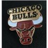 Image 1 : Chicago Bulls Logo Collector Pin