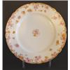 Image 1 : SET OF 10 HAVILAND LIMOGES PORCELAIN PLATES