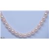 Image 1 : 1) NATURAL FRESHWATER PEARL W/ CZ NECKLACE CLASP