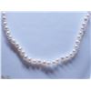 Image 1 : 50) STERLING SILVER FRESHWATER PEARL NECKLACE