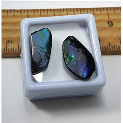 #10 - LOT OF 2 NATURAL AMMOLITE GEMSTONES