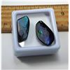 Image 1 : #10 - LOT OF 2 NATURAL AMMOLITE GEMSTONES