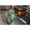 Image 2 : DECORATOR PLANT POT AND STICKAGE