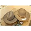 Image 1 : TWO BILTMORE HATS