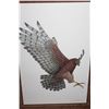 Image 2 : RED TAILED HAWK BY LUKE RAFFIN 23888