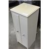 Image 1 : SMALL 2 DOOR CUPBOARD