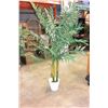 Image 1 : LARGE SILK TREE
