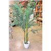 Image 2 : LARGE SILK TREE