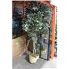 Image 1 : LARGE SILK TREE