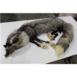 SILVER FOX PELT