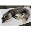 Image 1 : SILVER FOX PELT