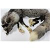 Image 3 : SILVER FOX PELT