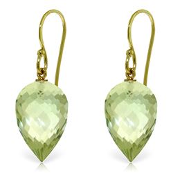 Genuine 19 ctw Green Amethyst Earrings Jewelry 14KT Yellow Gold - REF-28F4Z