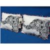 Image 1 : 2 decorative pillows