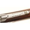 Image 6 : Winchester 1894 .25-35 SN: 51580