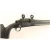 Image 4 : Remington 700 .243 Win SN: 6237711