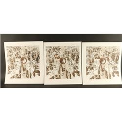 Fine Art Print by Bev Doolittle