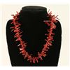 Image 1 : Native American Branch Coral Necklace
