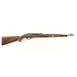Remington Nylon 66 .22 LR NVSN