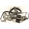 Image 2 : Arabian Show Shank & Blinders