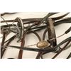 Image 4 : Large Lot of Arabian Show Headstalls