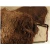 Image 2 : Buffalo Hide Rug