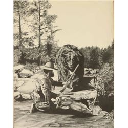 Fine Art Print