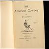 Image 2 : Lot of 5 Will James Books