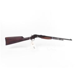 Stevens Pump 22