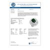 Image 3 : 10.02 CTW Emerald & Diamond Ring 18K White Gold - REF-368M4F - 13306