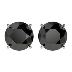 2.50 CTW Fancy Black VS Diamond Solitaire Stud Earrings 10K White Gold - REF-51N3A - 33103