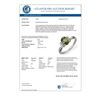 Image 3 : 1.06 CTW Green Tourmaline & Diamond Ring 18K White Gold - REF-38H4M - 13546