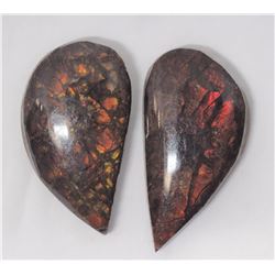 $200 Canadian Ammolite