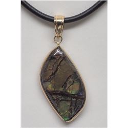 $800 14kt Ammolite